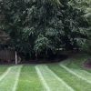 lawn care service beverly nj