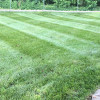 lawn care service beverly nj